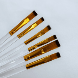 Набір професійних нейлонових пензликів 6 шт (прозорі)