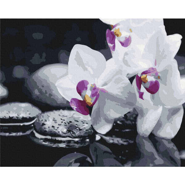 Картина по номерам Преміум картини - Квіти дзену