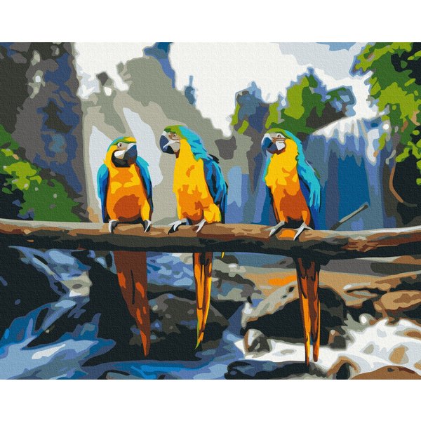 Картина по номерам Преміум картини - Тропічні ара