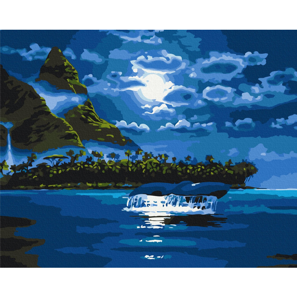 Картина по номерам Преміум картини - Місячна ніч