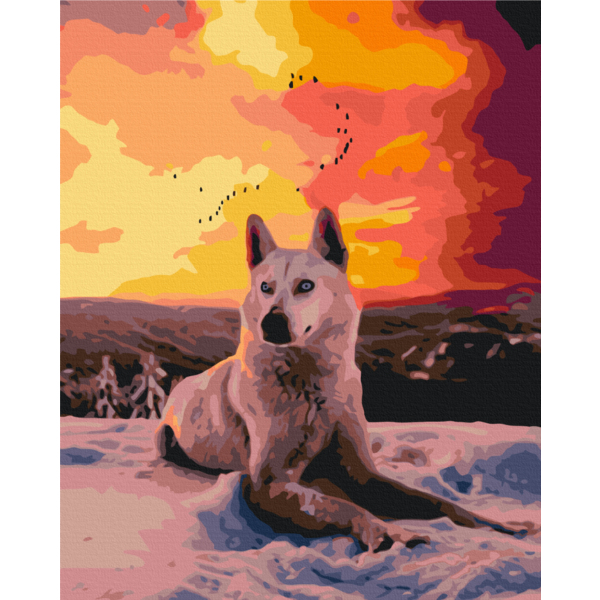 Картина по номерам Преміум картини - Арктичний вовк