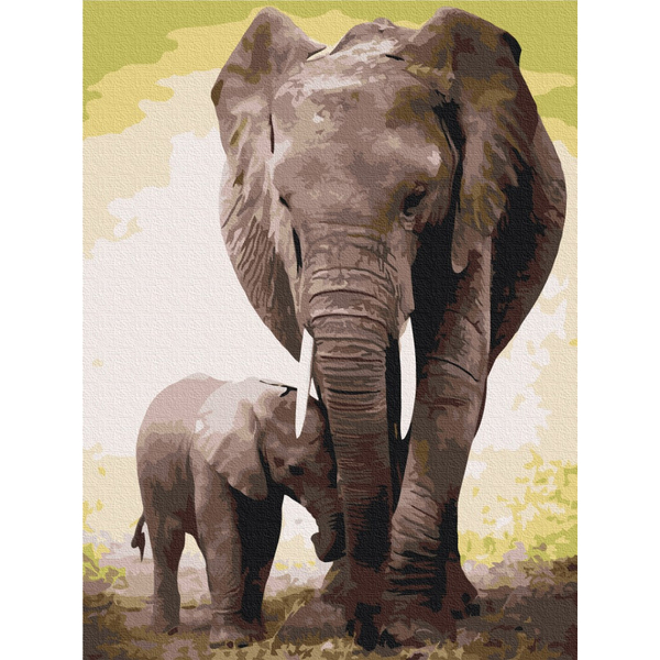 Картина по номерам Преміум картини - Перші дні слоненя