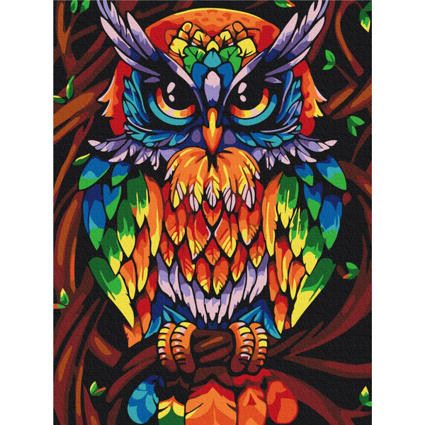 Картина по номерам Преміум картини - Веселкова мудра сова