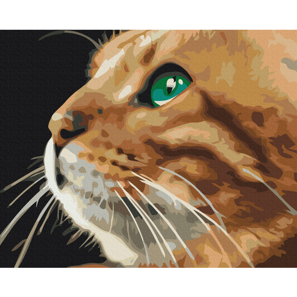 Картина по номерам Преміум картини - Погляд рижулі