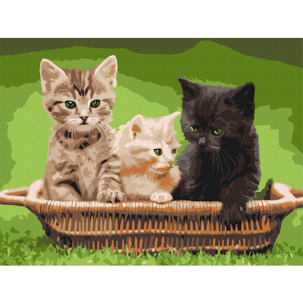 Картина по номерам Преміум картини - Кошенята в корзині