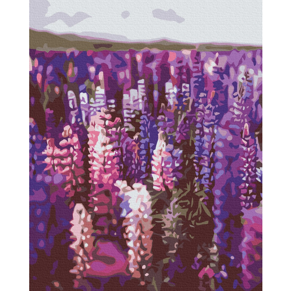 Картина по номерам Преміум картини - Лаванда