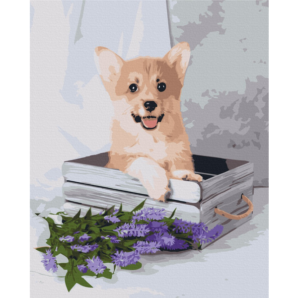 Картина по номерам Преміум картини - Грайливий коргі