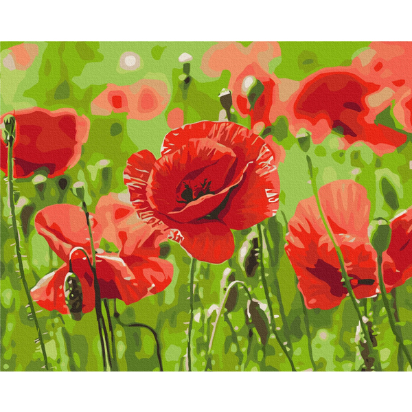 Картина по номерам Преміум картини - Червоні маки