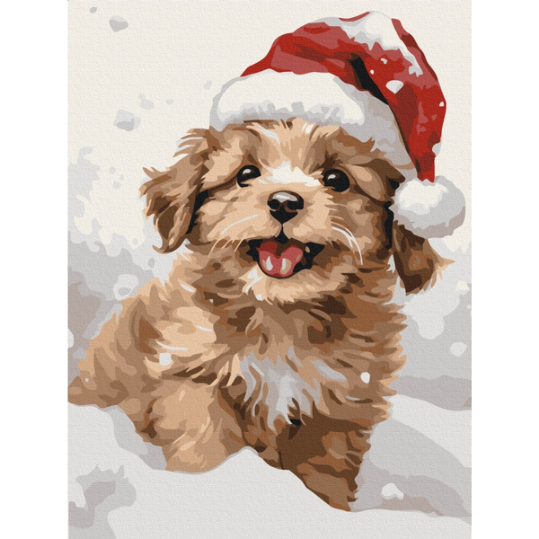 Картина по номерам Преміум картини - Засніжене цуценя