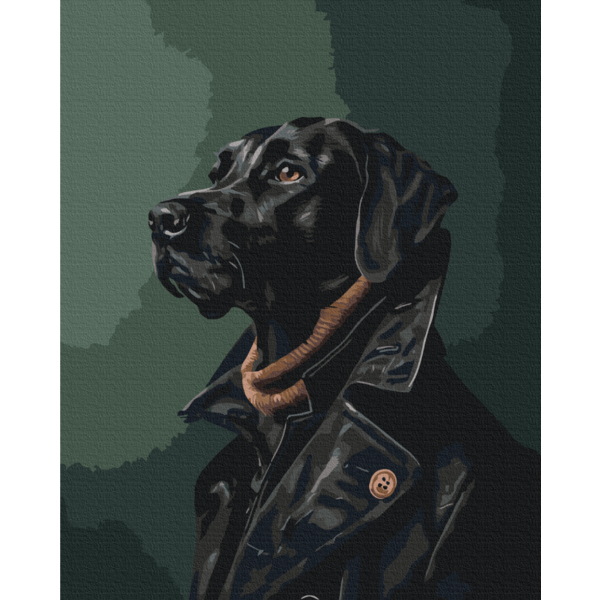 Картина по номерам Преміум картини - Джентльмен в плаще