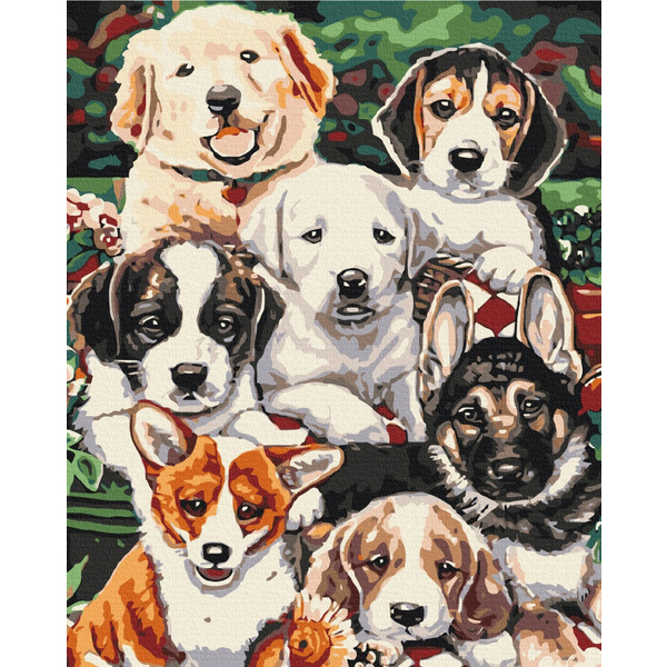 Картина по номерам Преміум картини - Цуцики