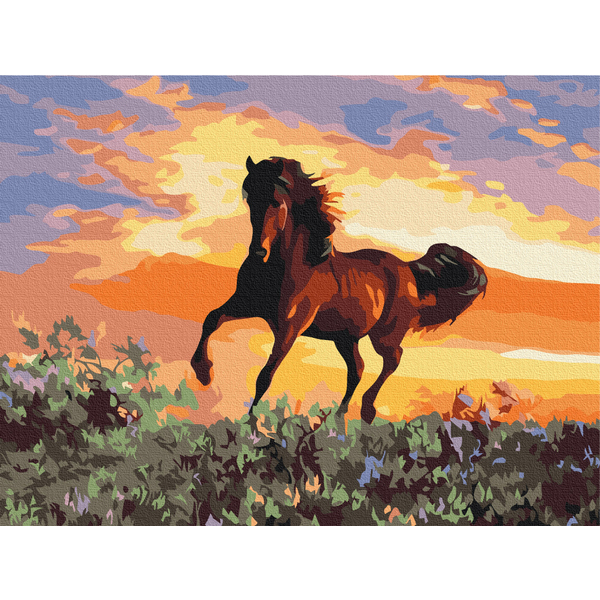 Картина по номерам Преміум картини - Кінь