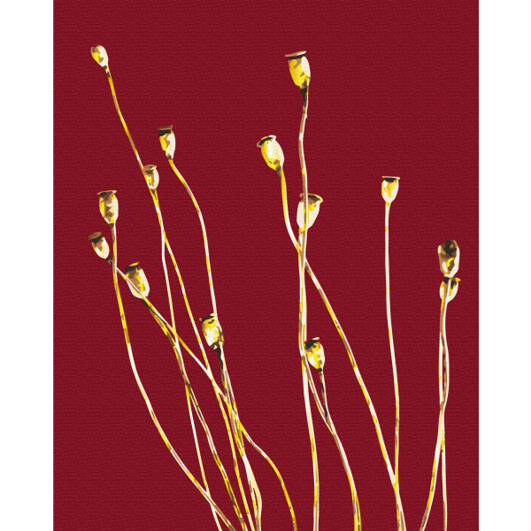 Картина по номерам Квіти - Золотые полевые маки © Halyna Vitiuk