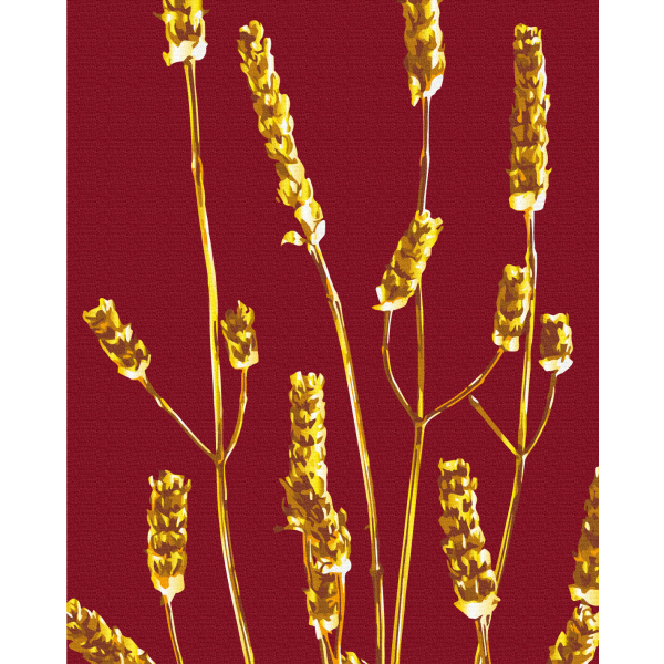 Картина по номерам Природа - Золота рослина © Halyna Vitiuk