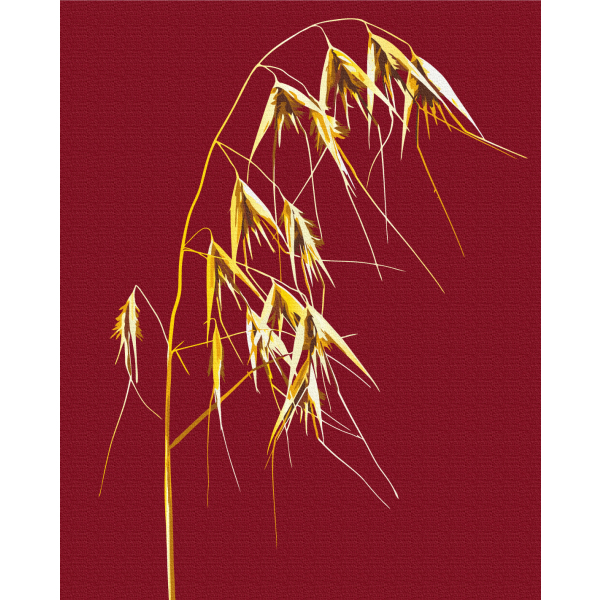 Картина по номерам Натюрморти - Золотой дикий овес © Halyna Vitiuk