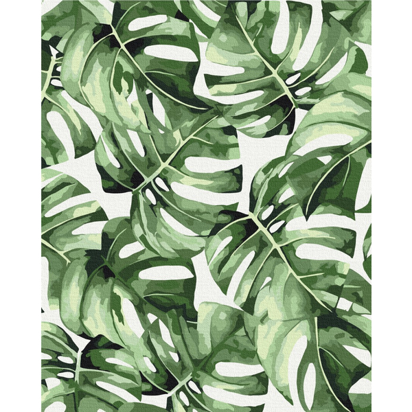 Картина по номерам Преміум картини - Екзотична монстера