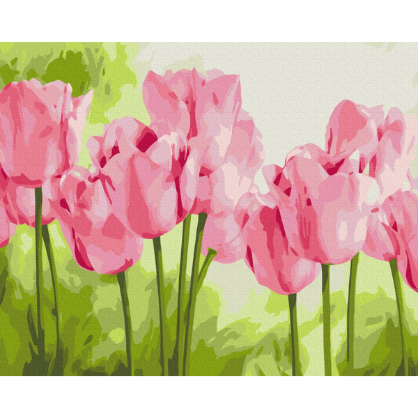 Картина по номерам Преміум картини - Ніжні тюльпани