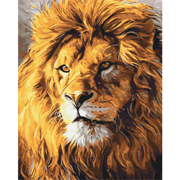 Картина по номерам Преміум картини - Погляд на прайд