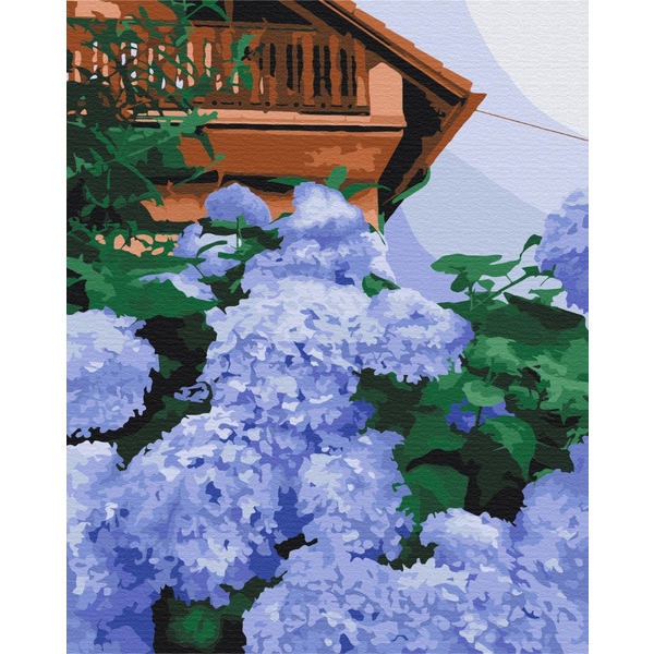 Картина по номерам Преміум картини - Гортензія біля дому