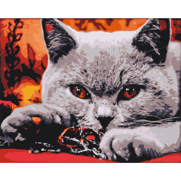 Картина по номерам Преміум картини - Домашній хижак