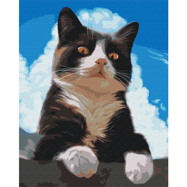 Картина по номерам Преміум картини - Допитливий котик