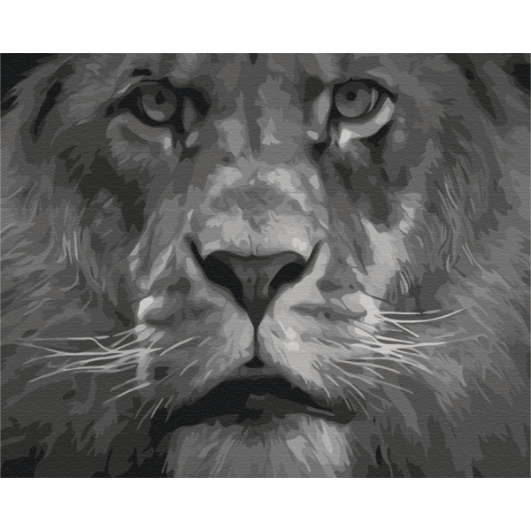 Картина по номерам Преміум картини - Лев в чорно-білих тонах