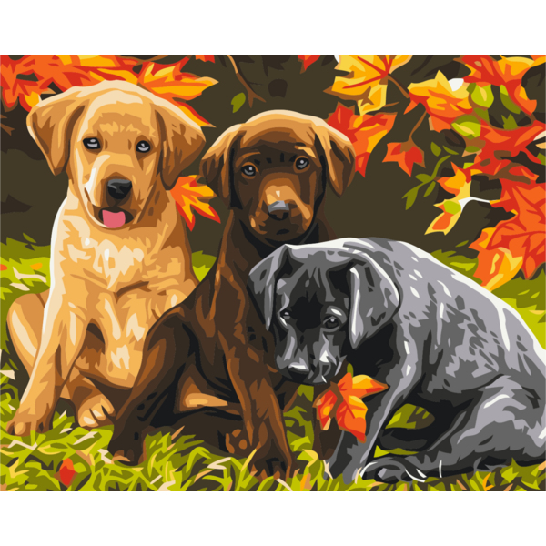 Картина по номерам Преміум картини - Три цуценя