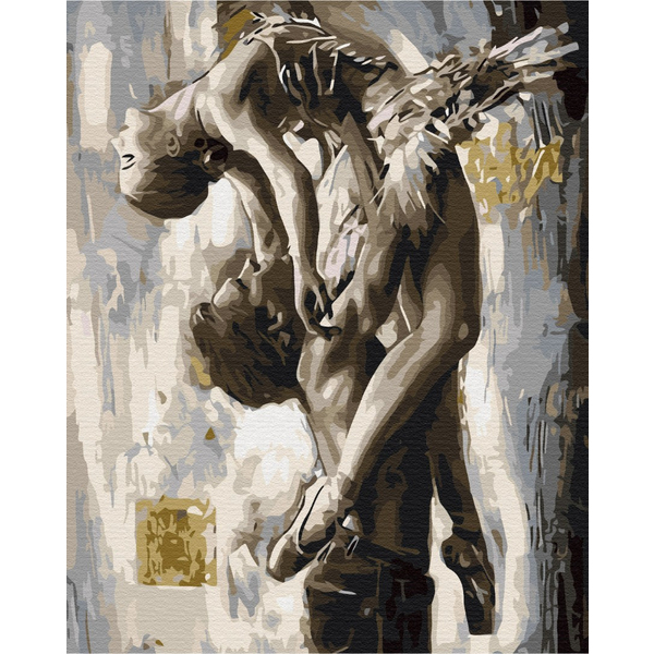 Картина по номерам Преміум картини - Витончений танець