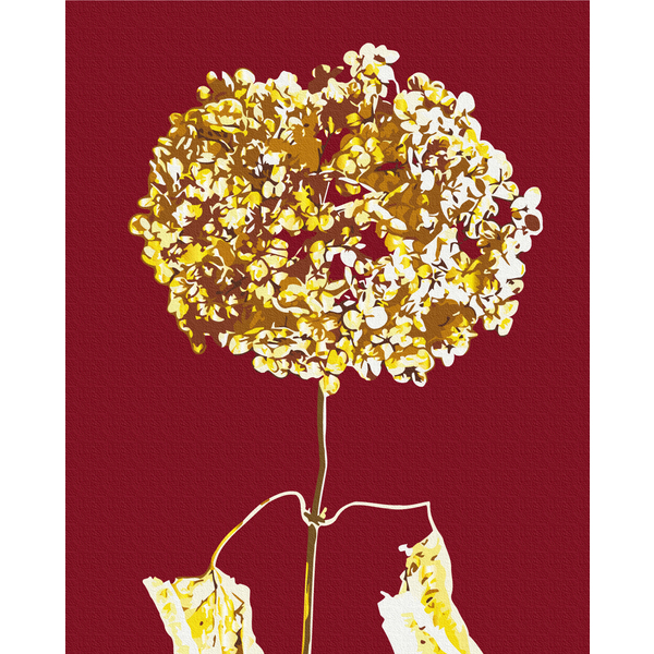 Картина по номерам Преміум картини - Золота гортензія © Halyna Vitiuk