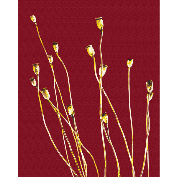 Картина по номерам Преміум картини - Золоті польові маки © Halyna Vitiuk