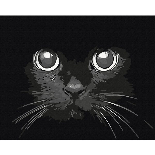 Картина по номерам Преміум картини - Погляд ночі