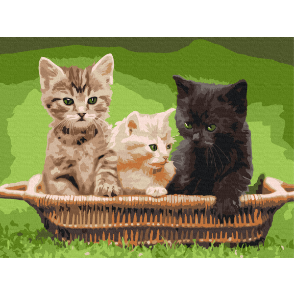 Картина по номерам Тварини, птахи та риби - Кошенята в корзині