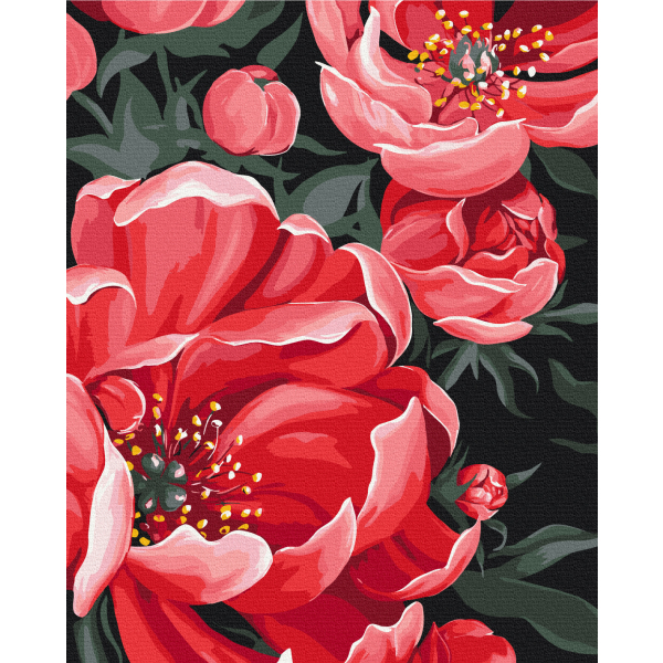 Картина по номерам Авторські колекції - Квітковий етюд © LUNATART