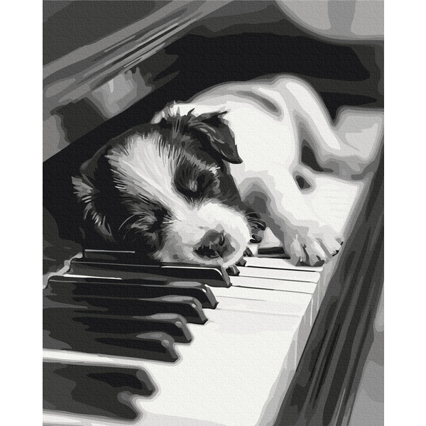 Картина по номерам Преміум картини - Мелодія сну