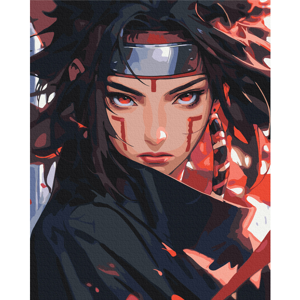 Картина по номерам Преміум картини - Ніндзя