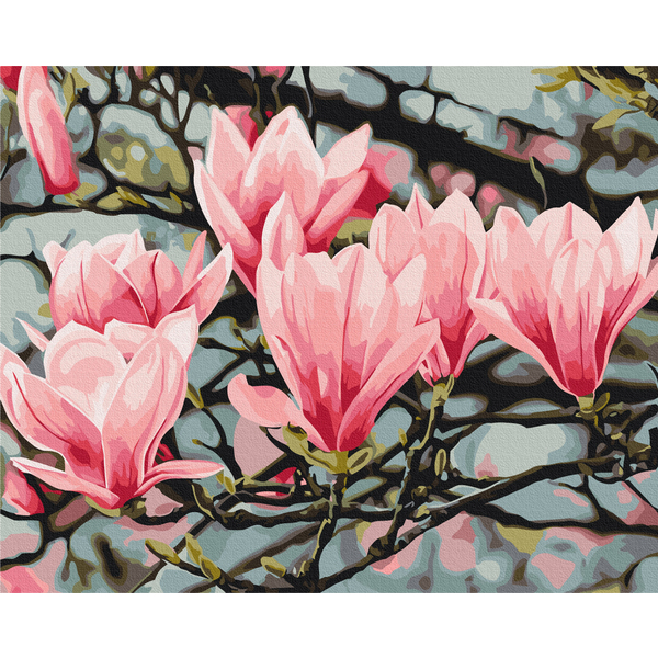 Картина по номерам Квіти - Цвет магнолии © Anastasiia Osmolovska