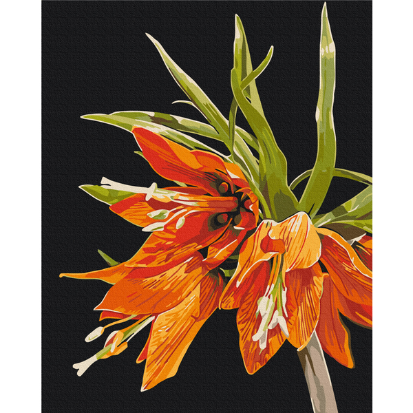 Картина по номерам Квіти - Фрітіларія © Anastasiia Osmolovska