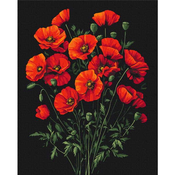Картина по номерам Квіти - Очарование маков