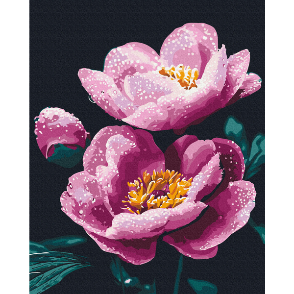 Картина по номерам Квіти - Утренняя свежесть