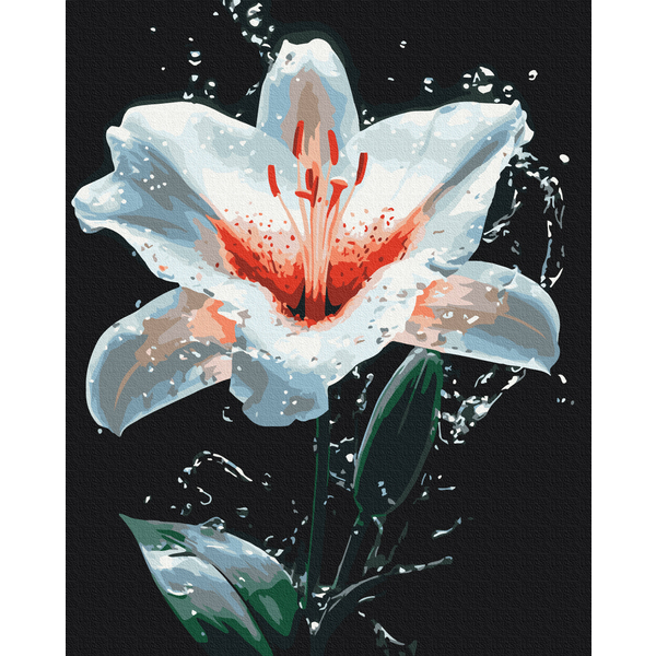 Картина по номерам Квіти - Сяйво лілії