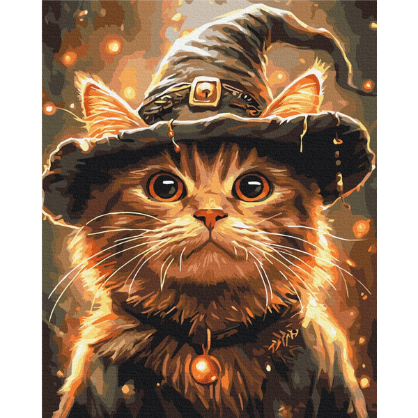 Картина по номерам Преміум картини - Котик маг