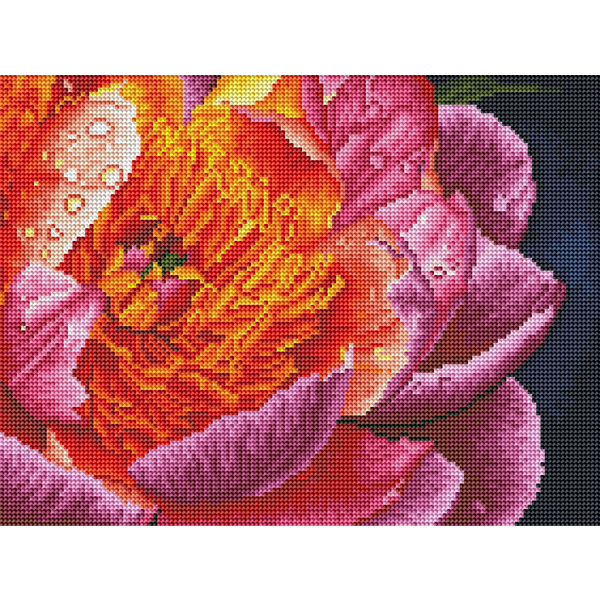 Алмазная мозаика 40x30 - Барвиста півонія