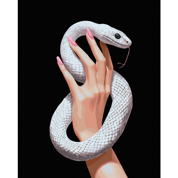 Картина по номерам На чорному полотні - Зміїна грація