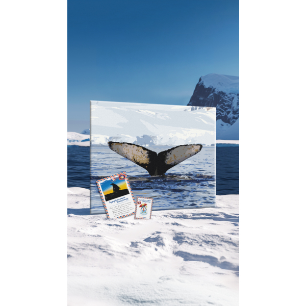 Картина по номерам Тварини, птахи та риби - Погружение в глубины © Оксана Савенко