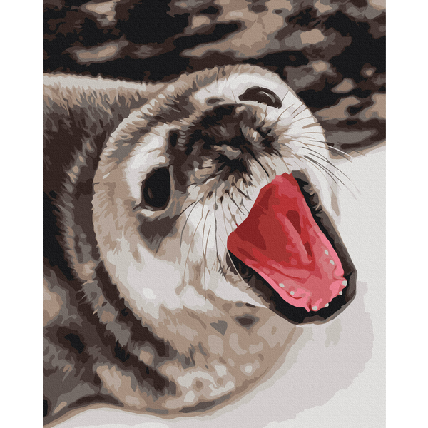 Картина по номерам Тварини, птахи та риби - Тюленячі позіхання ©  Анна Соіна