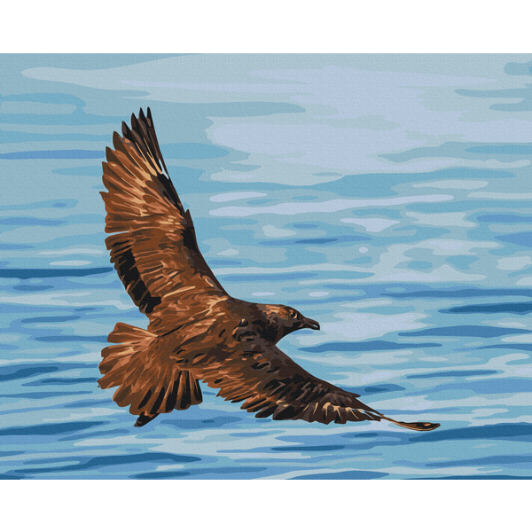 Картина по номерам Тварини, птахи та риби - Політ південнополярного поморника © Сергій Глотов