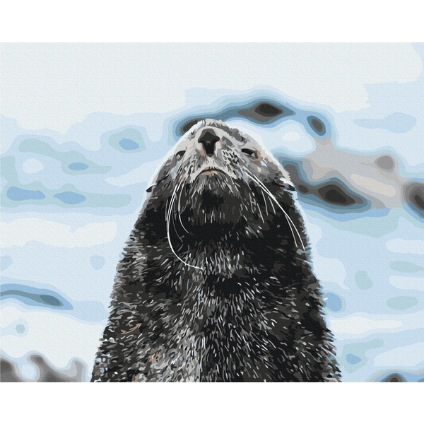 Картина по номерам Тварини, птахи та риби - Морський котик © Сергій Глотов