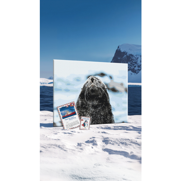 Картина по номерам Тварини, птахи та риби - Морський котик © Сергій Глотов