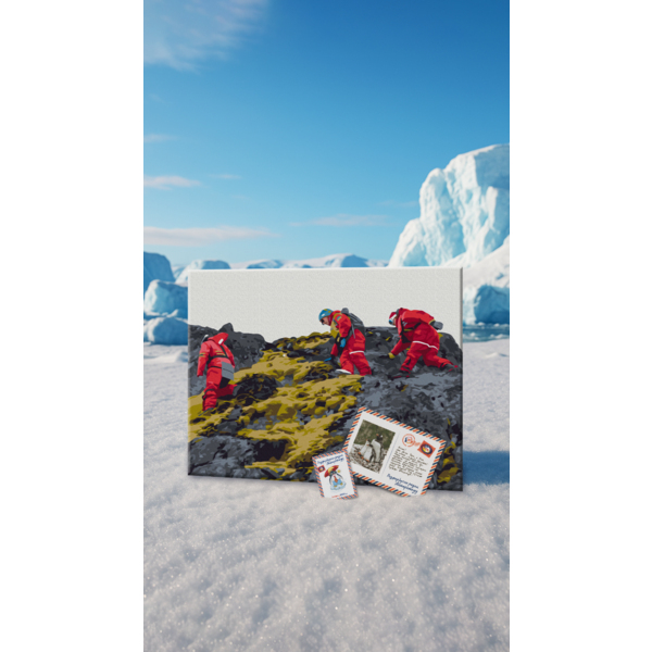 Картина по номерам Природа - Полярные исследовательницы © Юрий Шепета