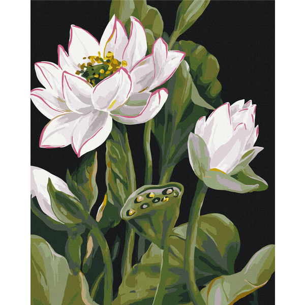 Картина по номерам Квіти - Расцвет вдохновения 2 © LUNATART